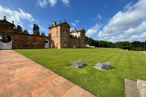 Mindful Nature Walk and Tour at Chatelherault Country Park (Full Members)