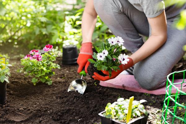 Gardening for Beginners (6 Week Course)