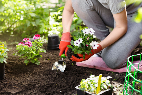 Gardening for Beginners (4 Week Course)