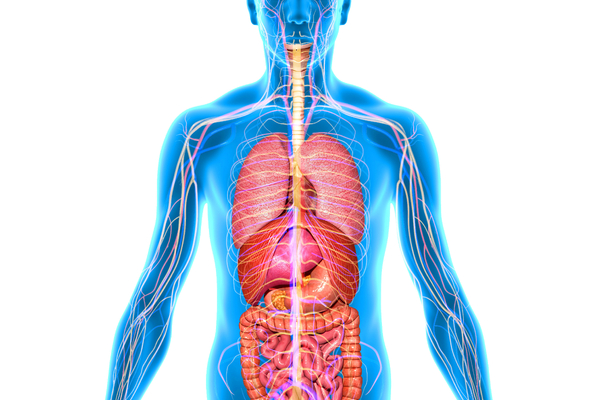 Understanding effects of a Stroke - Information Session