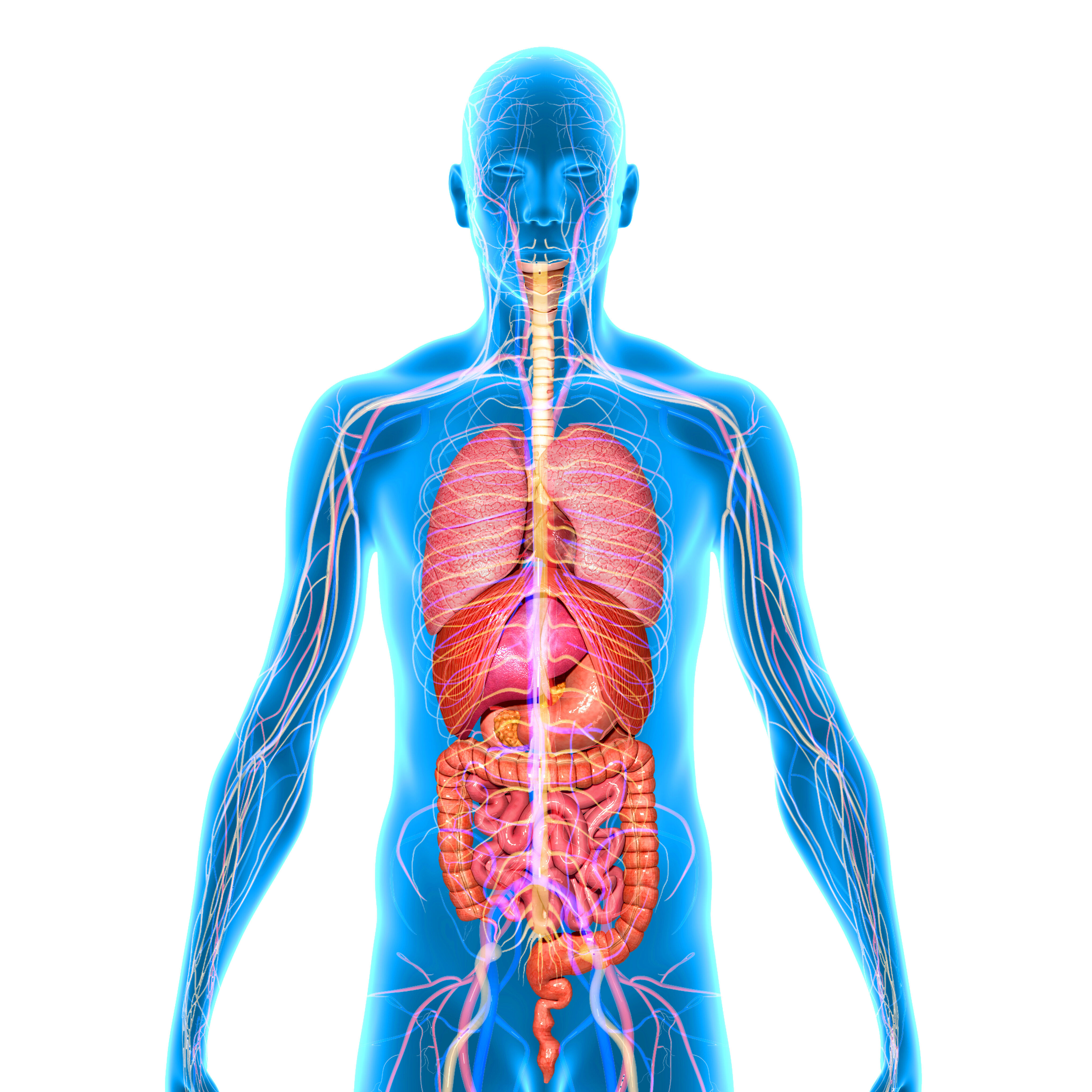 Understanding effects of a Stroke - Information Session